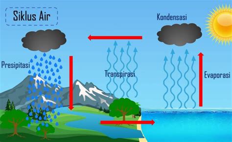 Siklus Hidrologi Dan Penjelasannya - IMAGESEE