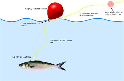 Live Bait Floating Fishing Rig - Fishing by Rigz | Fishing rigs, Fish, Rigs