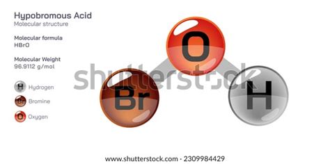 1 Hypobromous Acid Stock Vectors and Vector Art | Shutterstock