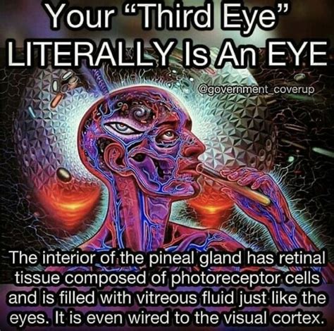 Your Third Eye 👁 | Spirituality energy, Third eye, Spiritual psychology