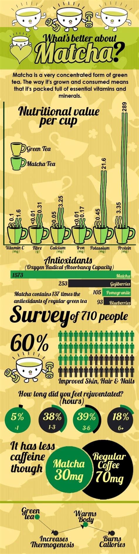 Matcha Benefits | Eco-Savy