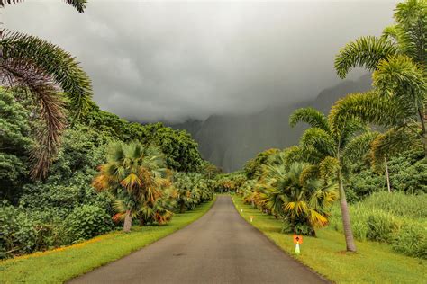 Visiting the Hoomaluhia Botanical Garden | Oahu, Botanical gardens ...