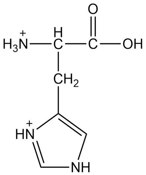 Solved Q3: Consider the structure of histidine. Use the | Chegg.com