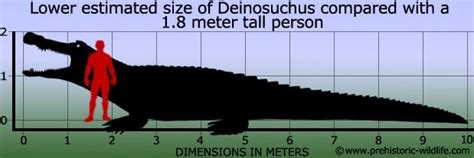 Deinosuchus - Alchetron, The Free Social Encyclopedia