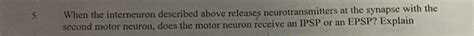 Solved When the interneuron described above releases | Chegg.com