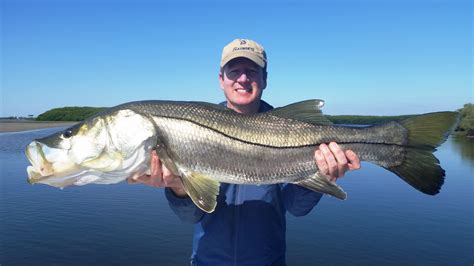 5 Snook Fishing Blogs That Will Make You A Better Snook Angler