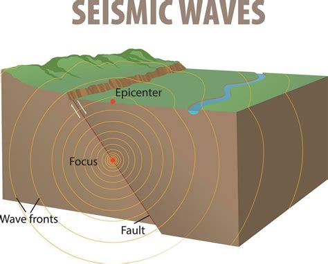 What is Seismic Waves? An In-depth Analysis of Earth's Vibrations ...