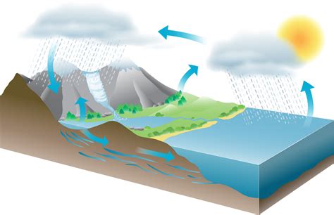 HYDROSPHERE! The Water Cycle Diagram | Quizlet