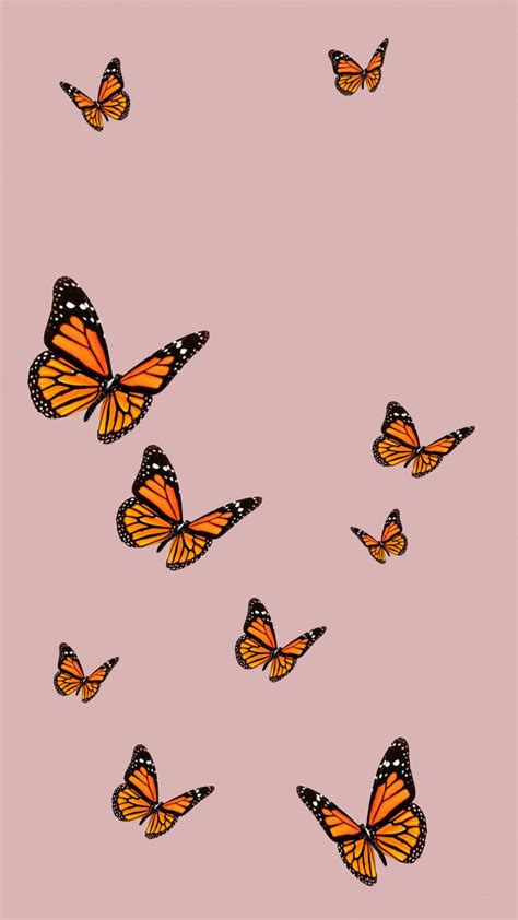 Share more than 51 aesthetic butterfly wallpaper super hot - in.cdgdbentre