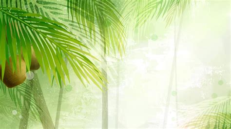 Coconut Tree Wallpapers - Wallpaper Cave