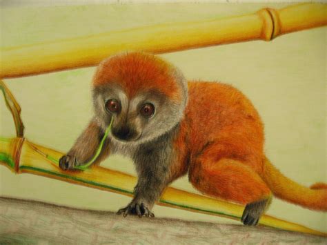 Baby Bamboo Lemur by Goldflower on DeviantArt