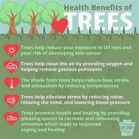 Health benefits of trees