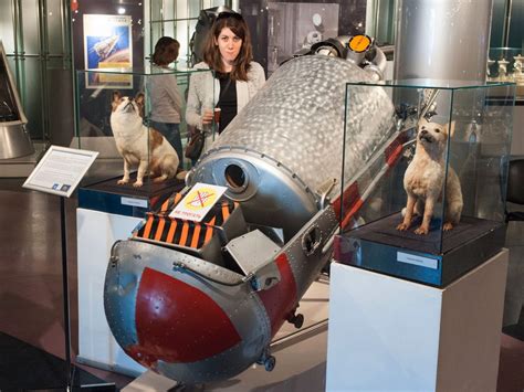 I met Belka and Strelka, the first dogs to survive in space - Business ...