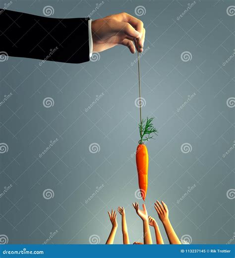 Man dangling a carrot stock illustration. Illustration of stick - 113237145