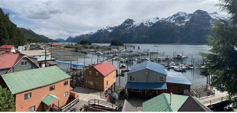 Tongass twisted: Alaska salmon habitat loses clearcutting protections | National Fisherman