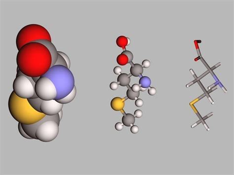 Collection of 21 alpha amino acids L- stereoisomers 3D model | CGTrader