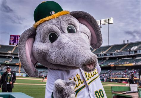 Oakland A's — and Stomper — head to Sacramento to pitch new stadium ...