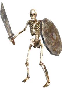 Ready for the Skeleton War | Skeleton War | Know Your Meme