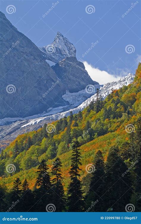 The Snowy Peaks of the Caucasus Stock Photo - Image of green, tourism: 22099780