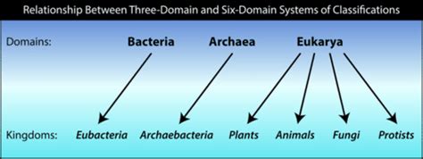 Three Types Of System