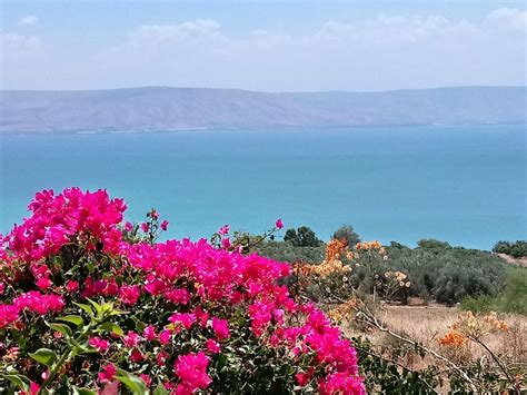 Golan Heights and Galilee Tour - 2 Days - Tourist Israel