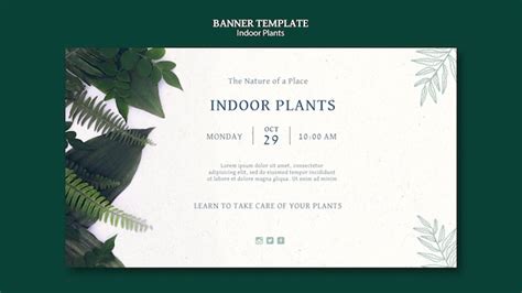 Free PSD | Indoor plants banner template