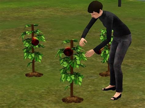 Mod The Sims - Missing Auto Soils (Plasma Fruit, Carrot & more)