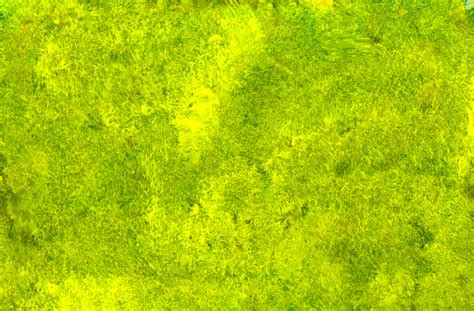 Free photo: Green Texture - Graphics, Green, Texture - Free Download ...