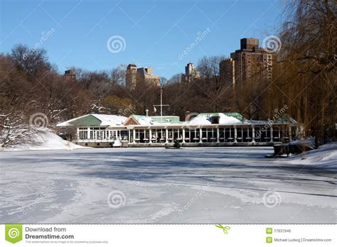 Winter Snow in Central Park Stock Photo - Image of manhattan, central: 17637946