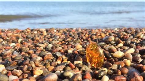 Amber On A Beach Of The Baltic Sea Stock Footage Video 17017894 | Shutterstock