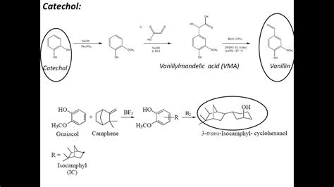 green synthesis of catechol - YouTube