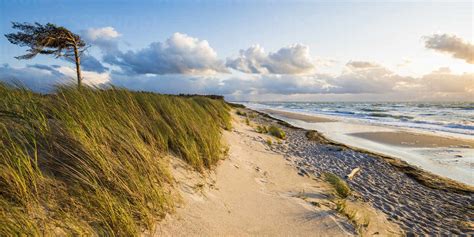 Germany, Mecklenburg-Western Pomerania, Prerow, Grassy coastal beach in ...