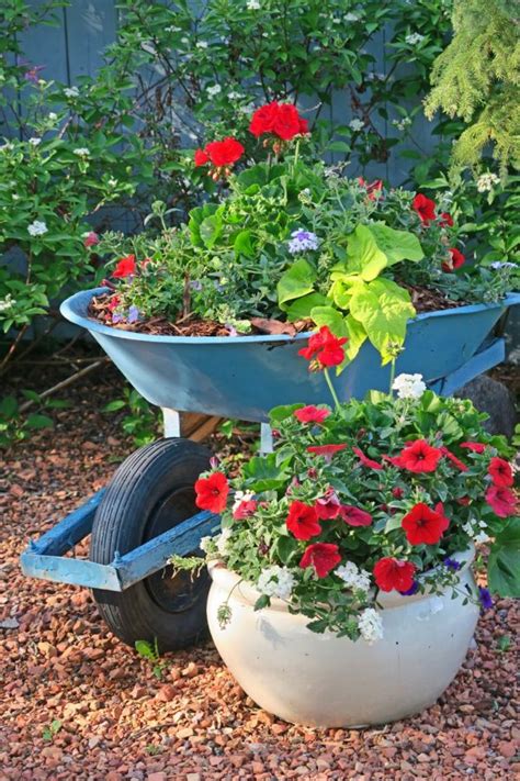 27 Wheelbarrow Planter Ideas | Garden Outline