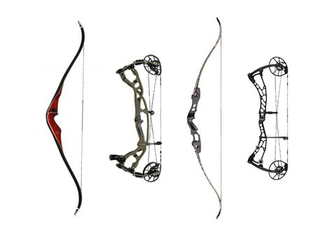 Recurve vs. Compound Bow: Understand the Differences | Outdoor Life