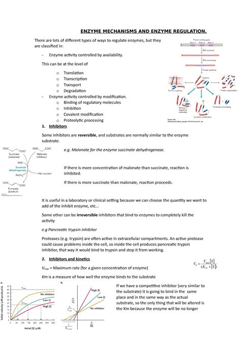 7. Enzyme mechanisms and enzyme regulation - ENZYME MECHANISMS AND ...