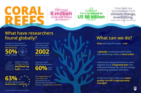 Coral reefs are 50% less able to provide food, jobs, and climate protection than in 1950s ...