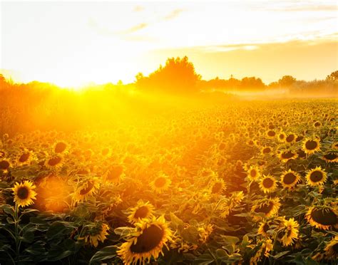 Weather Photographer of the Year: Setting the scene - At dusk and dawn ...