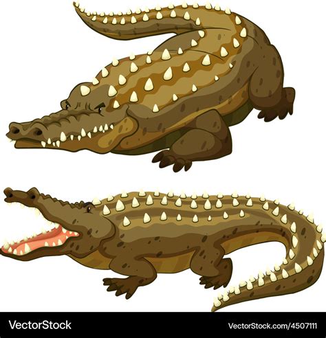 Crocodile Royalty Free Vector Image - VectorStock