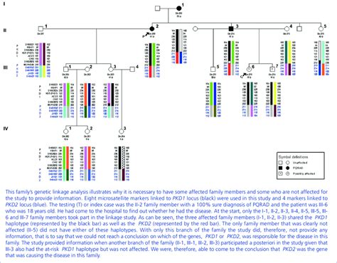 Genetic linkage analysis for PKD1 and PKD2. | Download Scientific Diagram