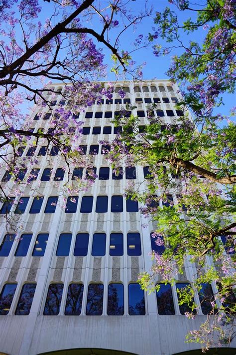 The campus of Caltech stock photo. Image of afternoon - 135796872