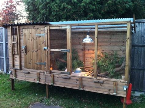 Quail Housing | Chickens backyard, Japanese quail, Quail