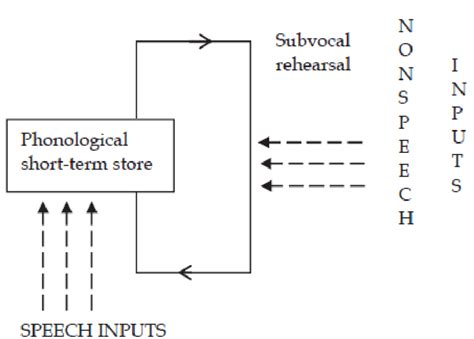 The Phonological Loop Model (Gathercole and Baddeley, 1993, p. 8) | Download Scientific Diagram