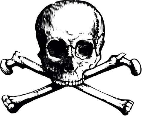 Skull and Crossbones, and Skull with Swords in Vector Stock Vector ...