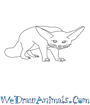 How to Draw a Fennec Fox