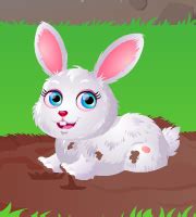 Baby Hazel Pet Care - AgnesGames.com