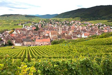 Now is the time to visit vineyards in Alsace and it's spectacular towns