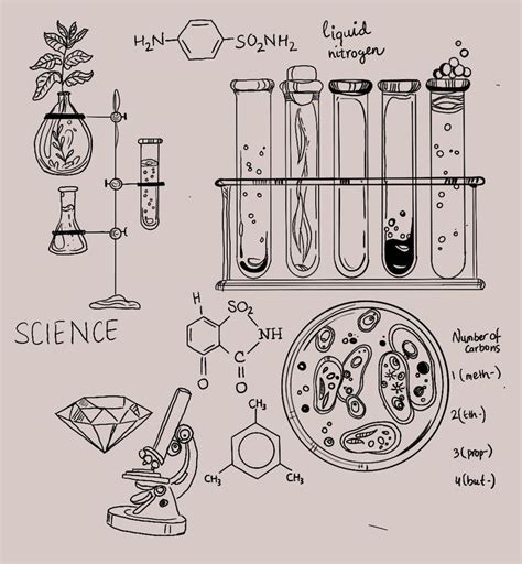 Science PhD chemistry | Hacer portadas de libros, Línea de arte ...