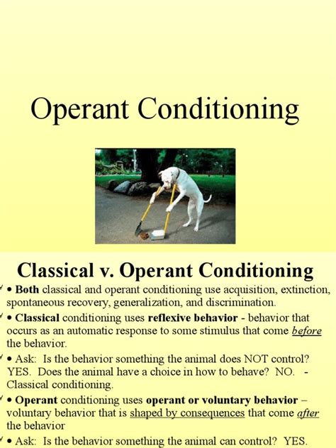 Operant Conditioning | Reinforcement | Psychological Theories