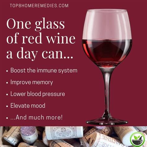 Benefits of Wine | Wine benefits health, Red wine health benefits, Wine ...