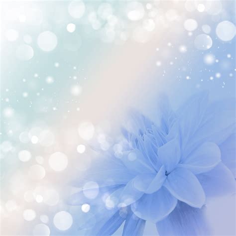 Floral Background With Bokeh Free Stock Photo - Public Domain Pictures